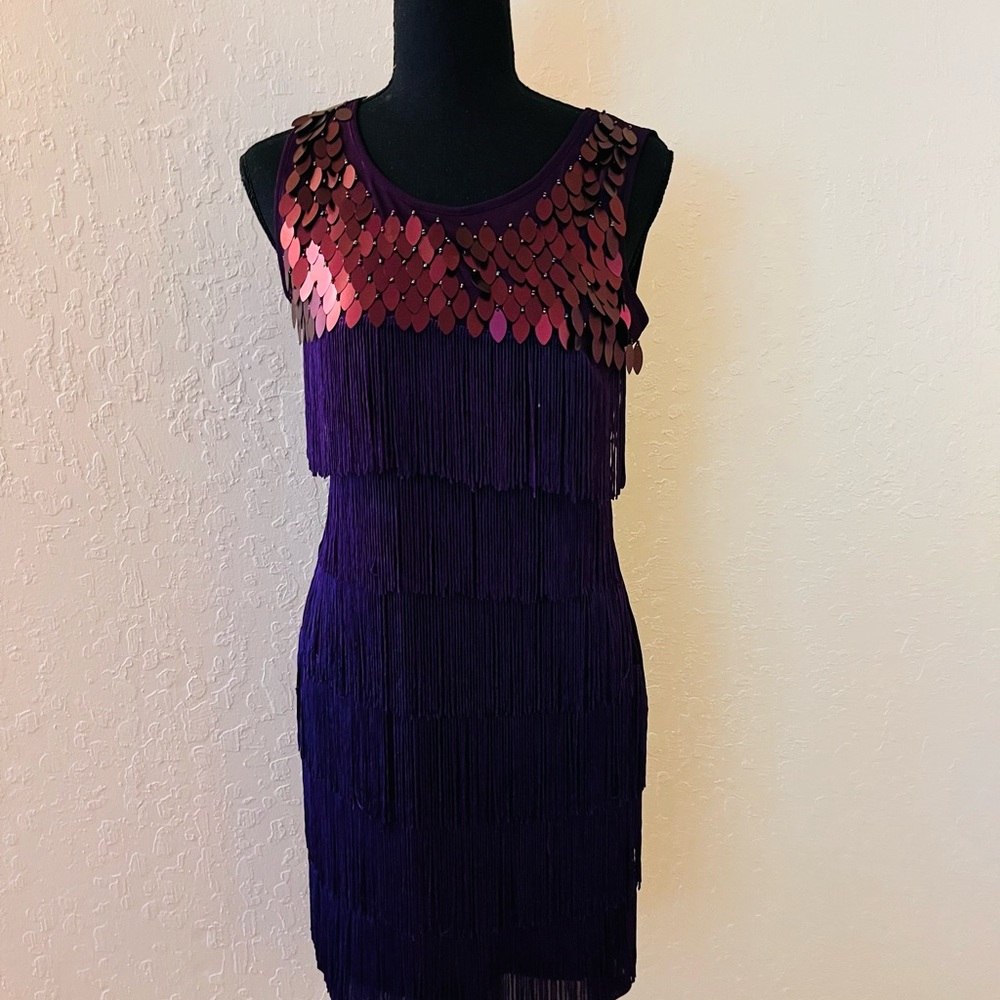 Chic Purple Sequin and fringe Mini‎ Dress